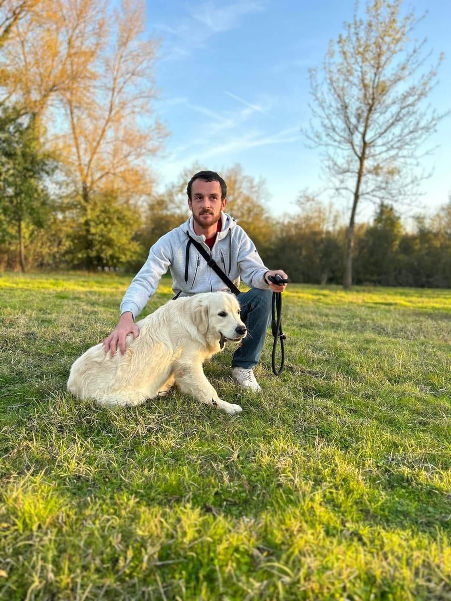Profil de Rui-miguel