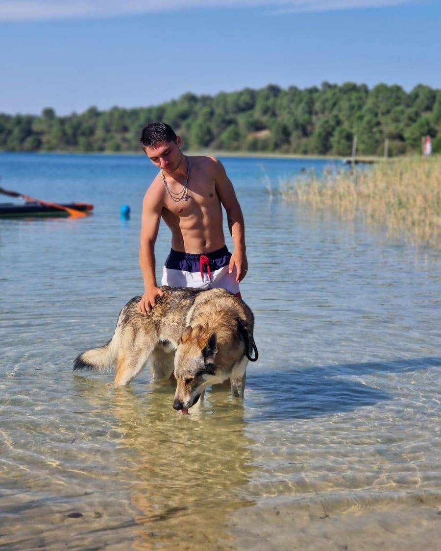 Profil de Rocco